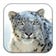 Apple Mac OS X Snow Leopard logo